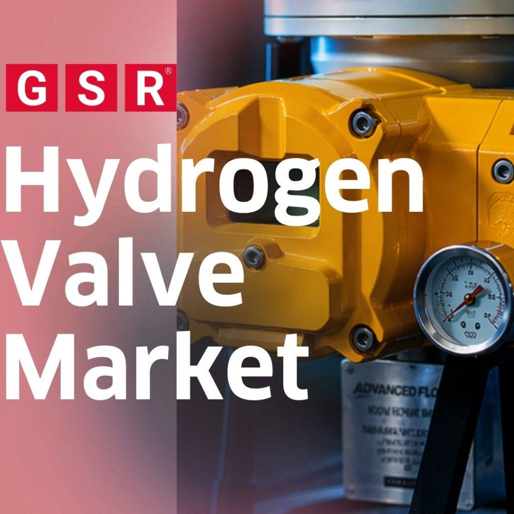 Hydrogen Valve Market: Trends, Growth Drivers & Future Outlook